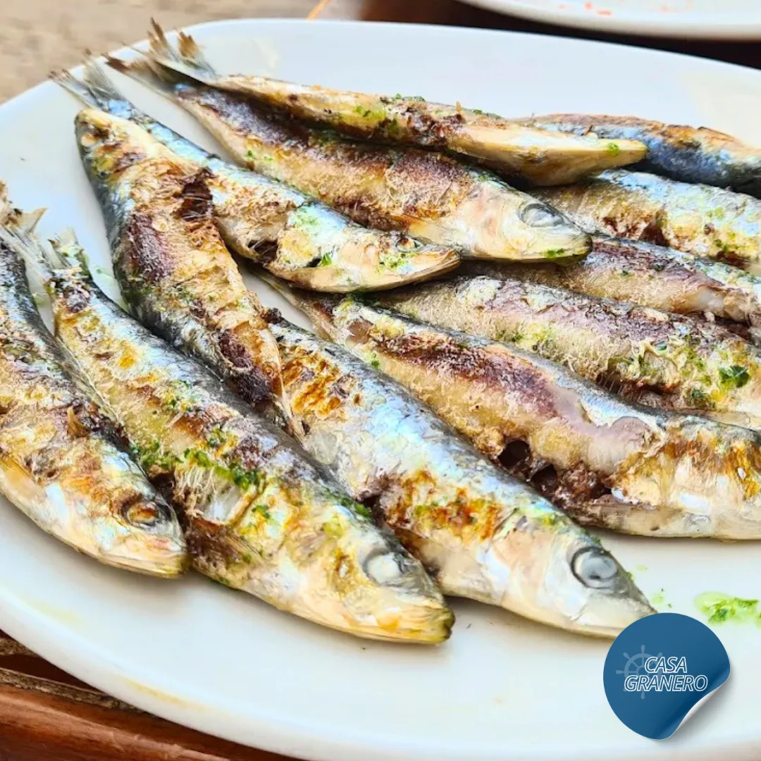 Marina Village Fotos Bar Casa Granero 102