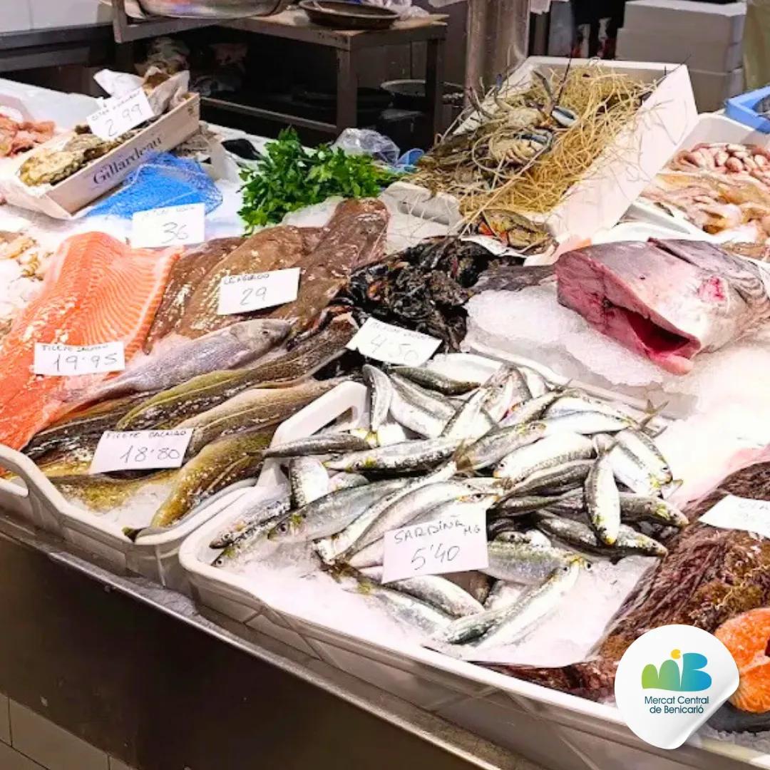 Marina Village Fotos Mercado Blo 119