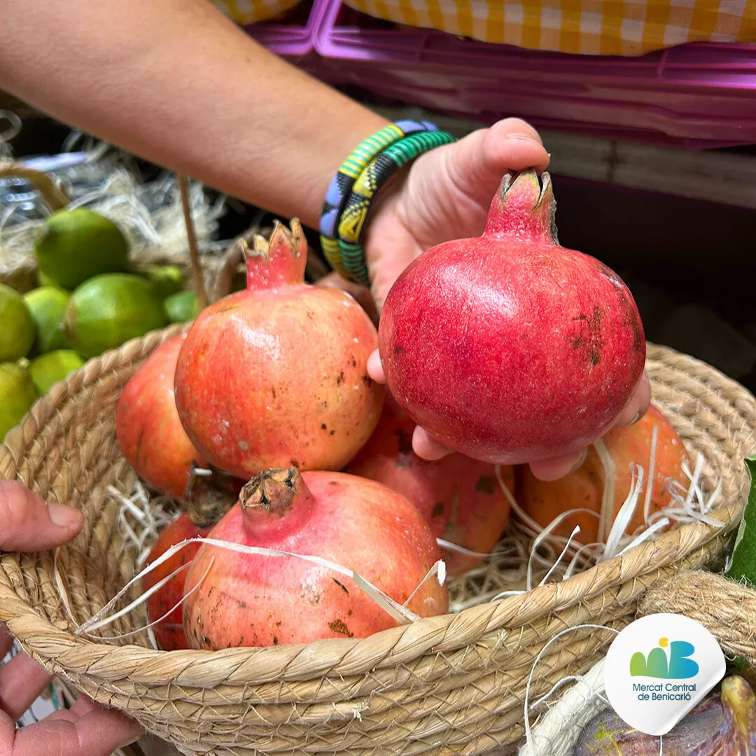 Marina Village Fotos Mercado Blo 123